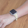 Niteo Stainless Steel Band